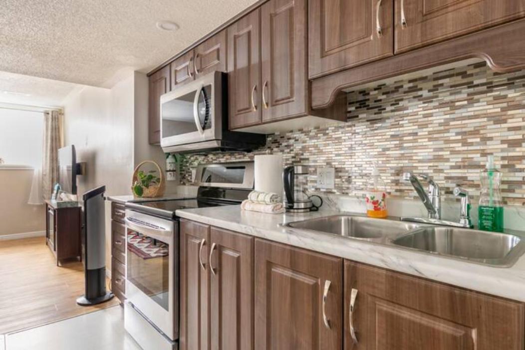 Self Check-In Spacious Apartment With Full Kitchen Ottawa Buitenkant foto